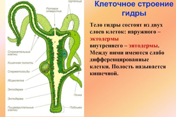 Кракен маркетплейс ссылка на сайт