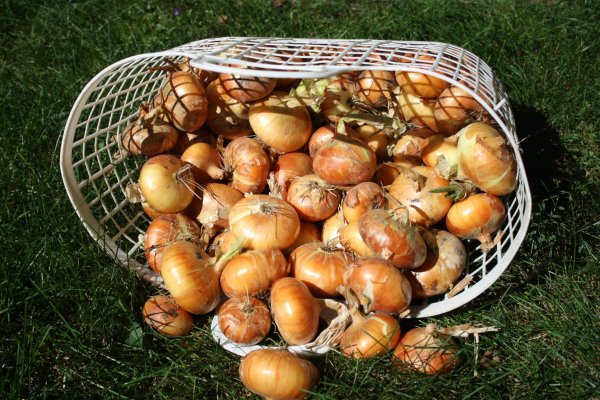 Супернет зеркало