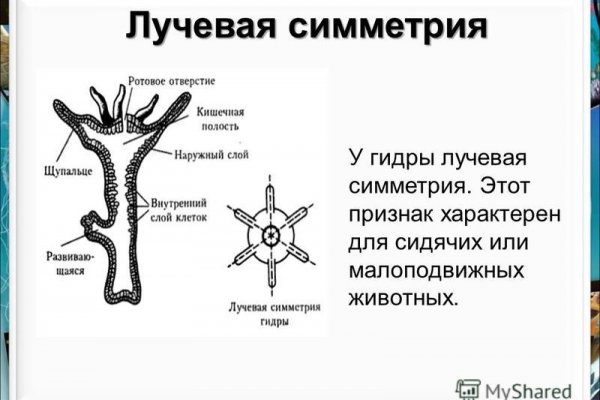 Кракен зеркало рабочее на сегодня krakenat2krnkrnk com