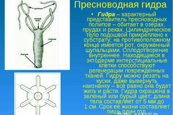 Кракен не грузит