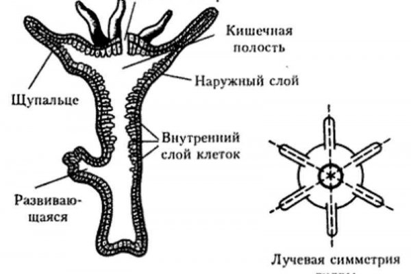 Кракен супернет store kraken dark link