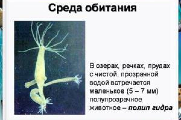 Как зарегистрироваться на кракене из россии
