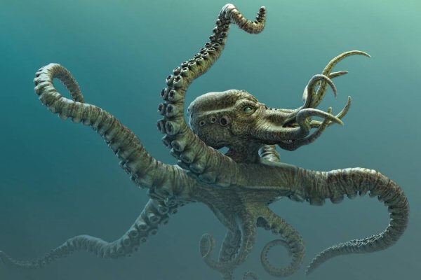 Kraken whitenet market